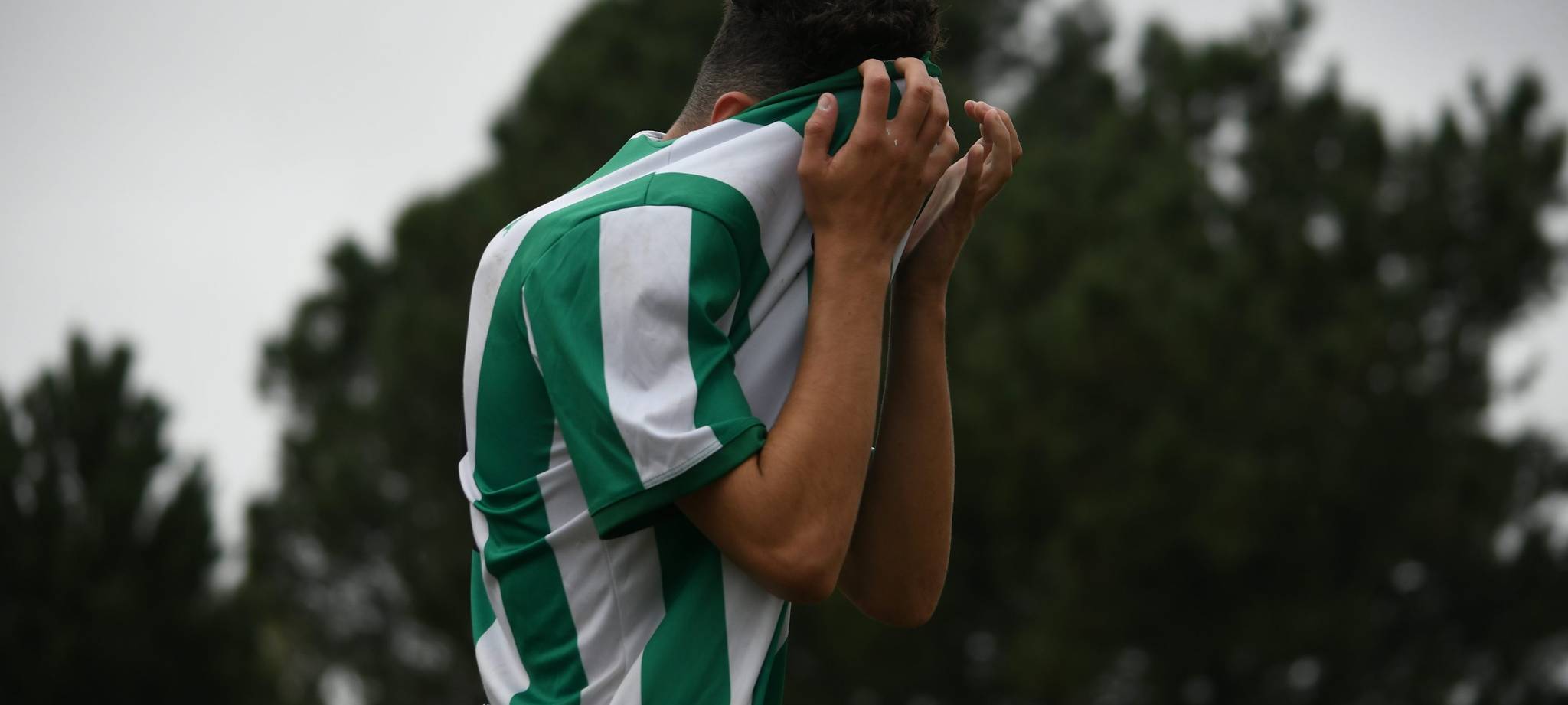 熊猫体育官网简介